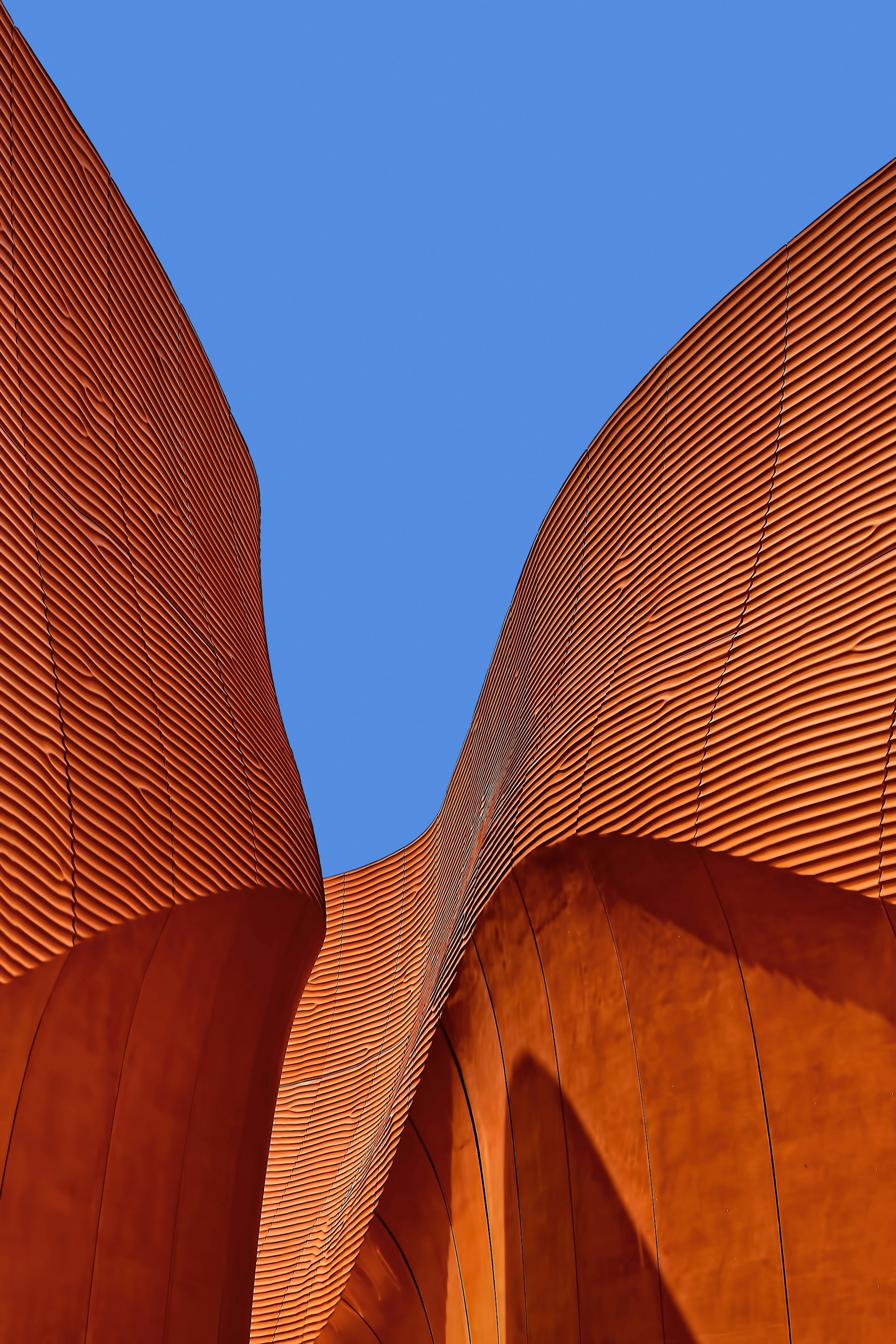 Modern architecture, abstract curved facade.
